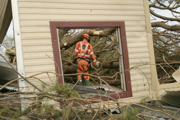 Best Utility Line Clearance  in Highland On The Lake, NY